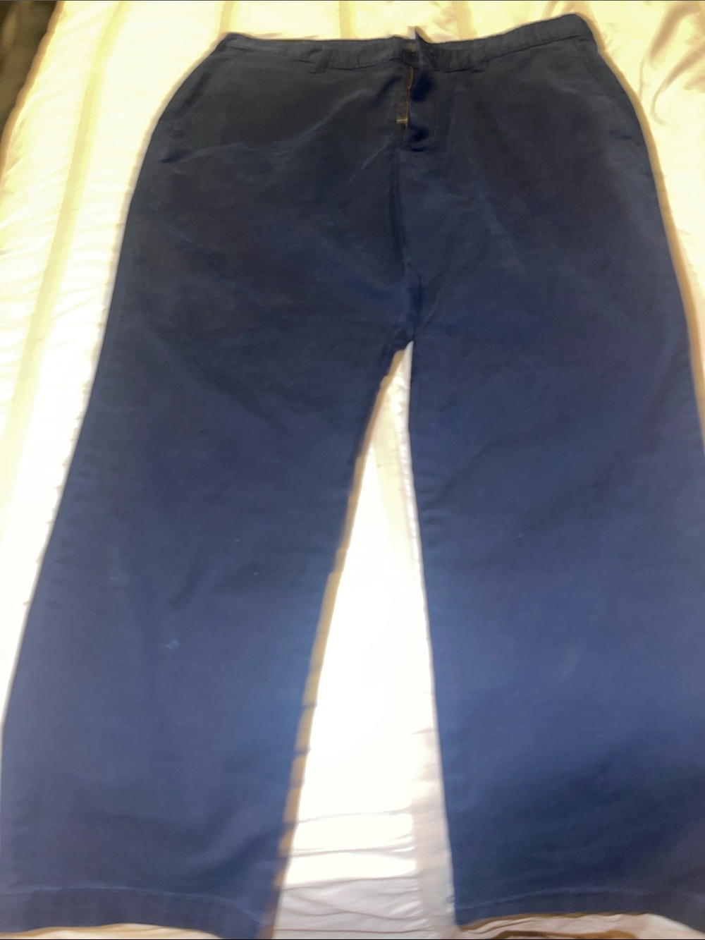 Banana Republic Navy Blue Men's Chinos